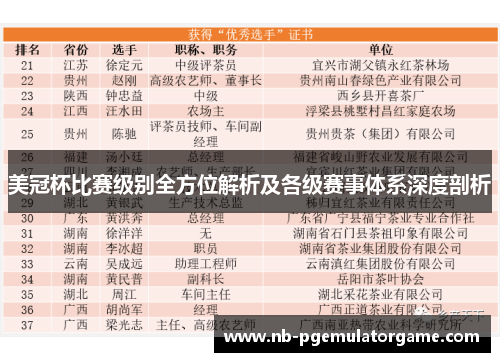 美冠杯比赛级别全方位解析及各级赛事体系深度剖析