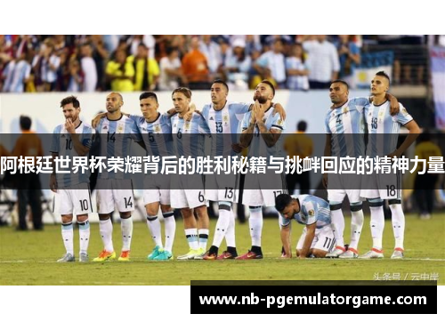 阿根廷世界杯荣耀背后的胜利秘籍与挑衅回应的精神力量