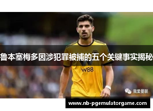 鲁本塞梅多因涉犯罪被捕的五个关键事实揭秘